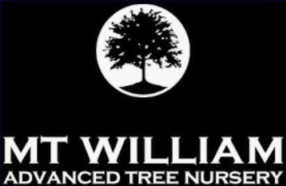 Mt William Advanced Tree Nursery